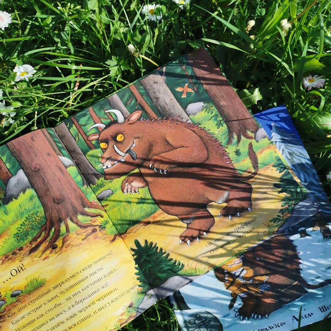 Фото: kamishonok_i_yabooks (Instagram)