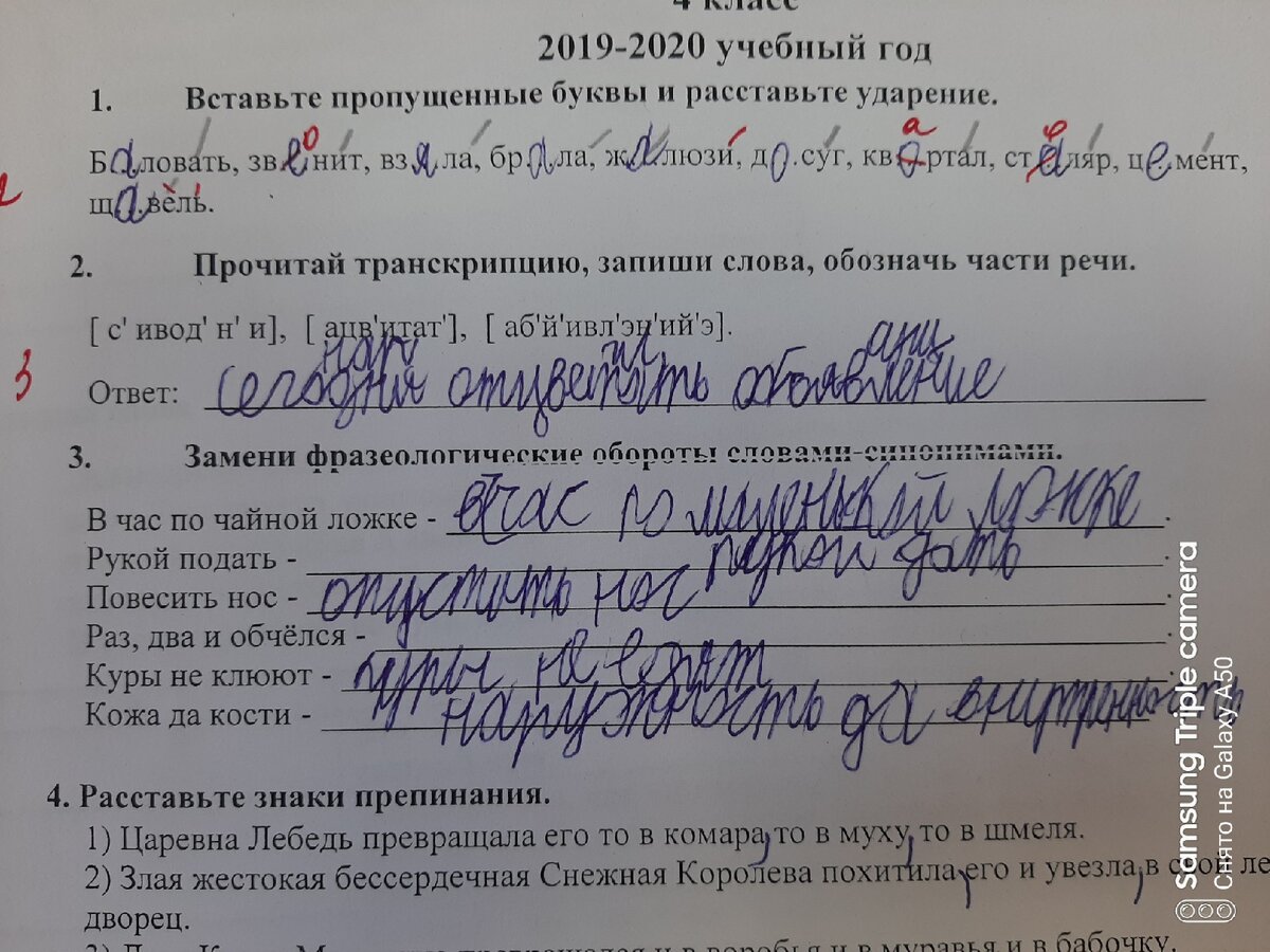 Подготовка в ВПР, 4 класс, 2020 год