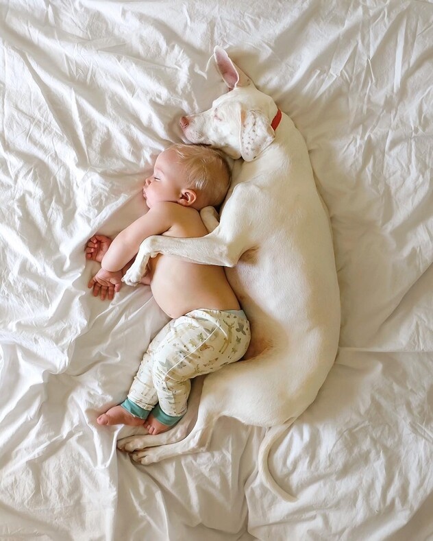 © Elizabeth Spence