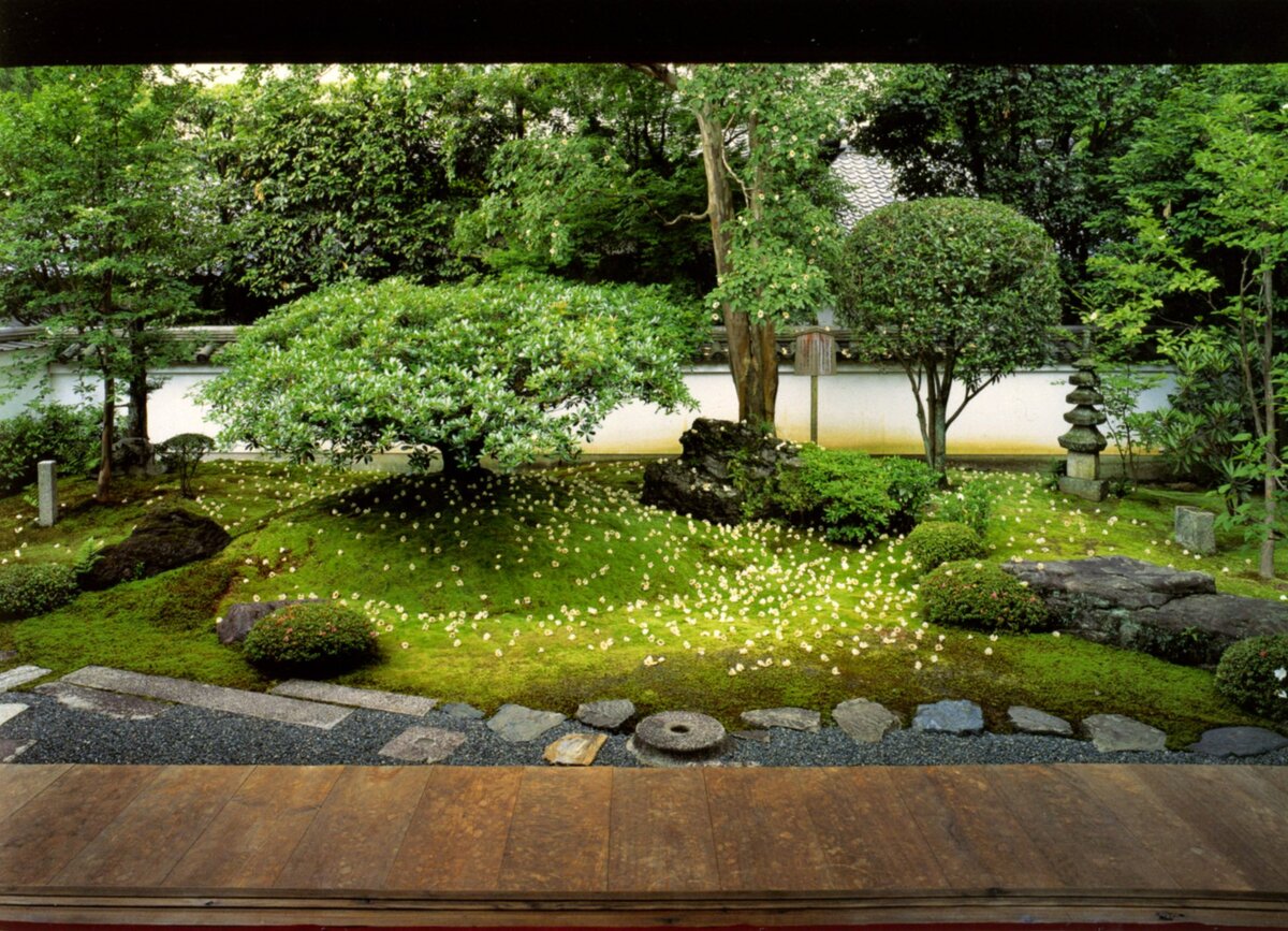 Фото использовано в качестве иллюстрации. Источник "Яндекс.Картинки"