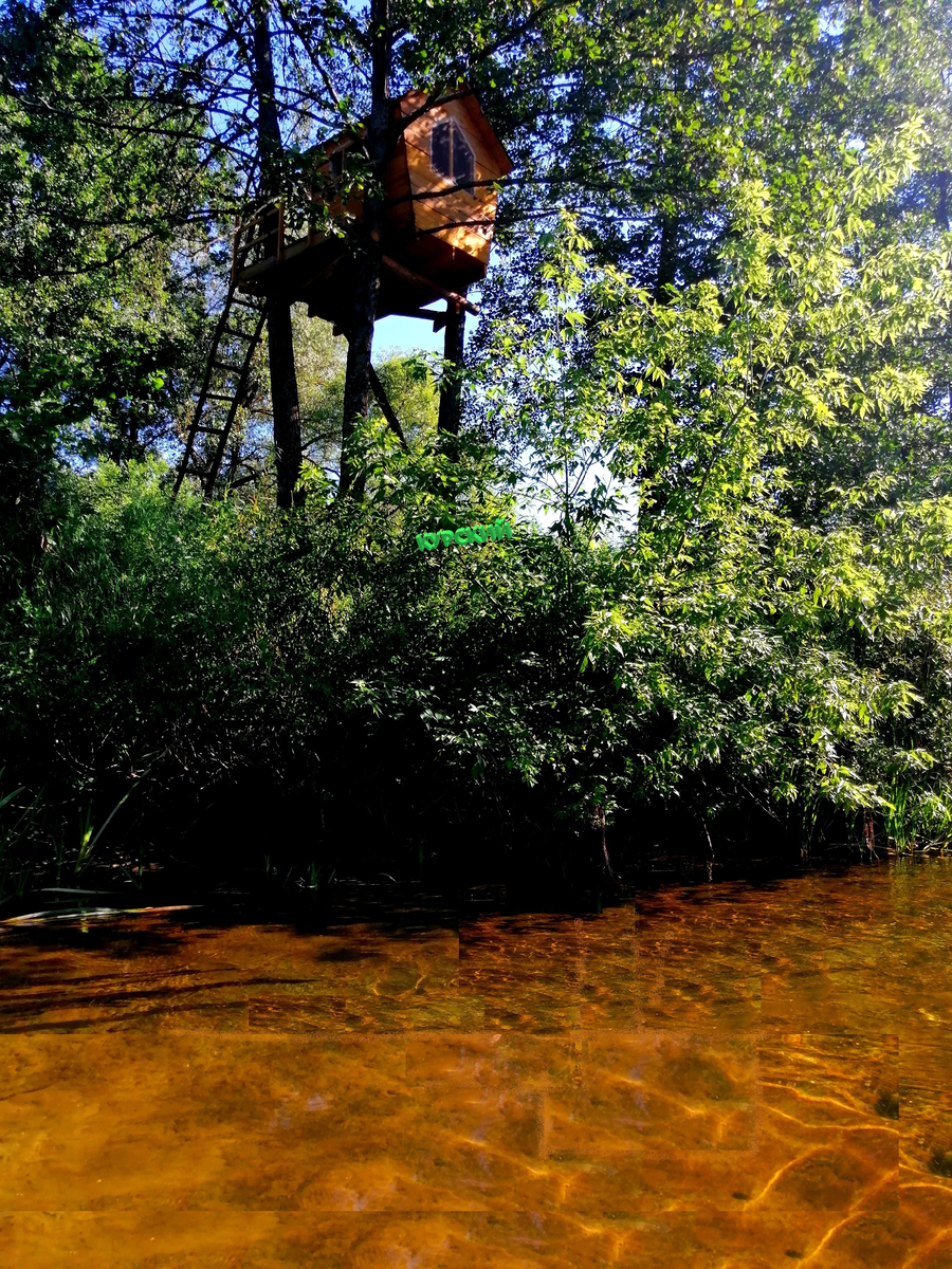 Домик на дереве. Личное фото.