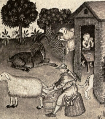 Изображение разведения животных в средние века