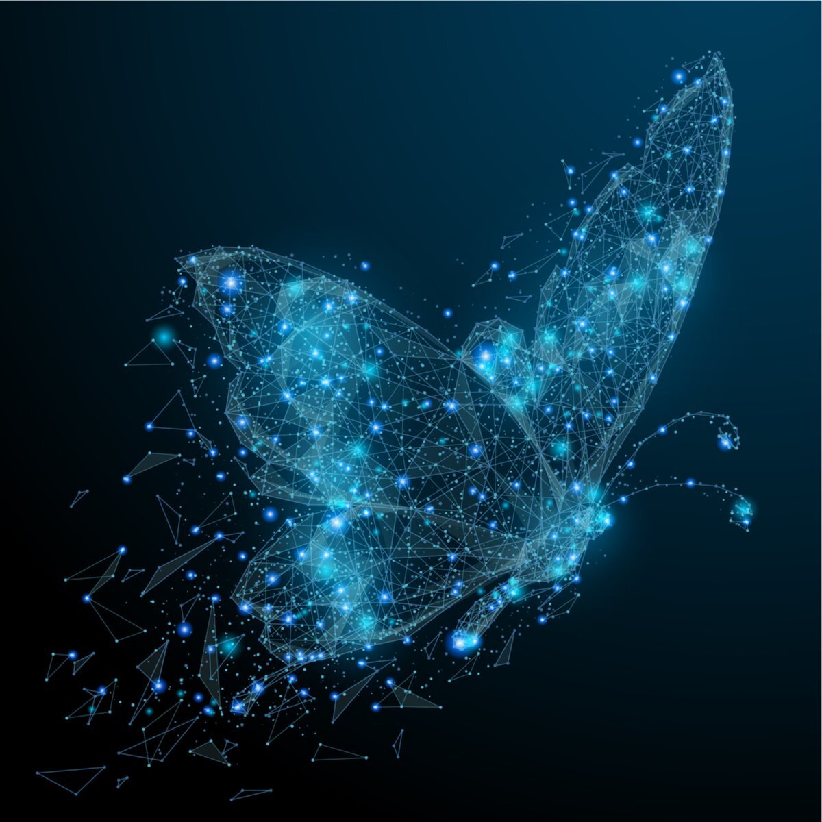 Все что нужно было узнать о ночных бабочках