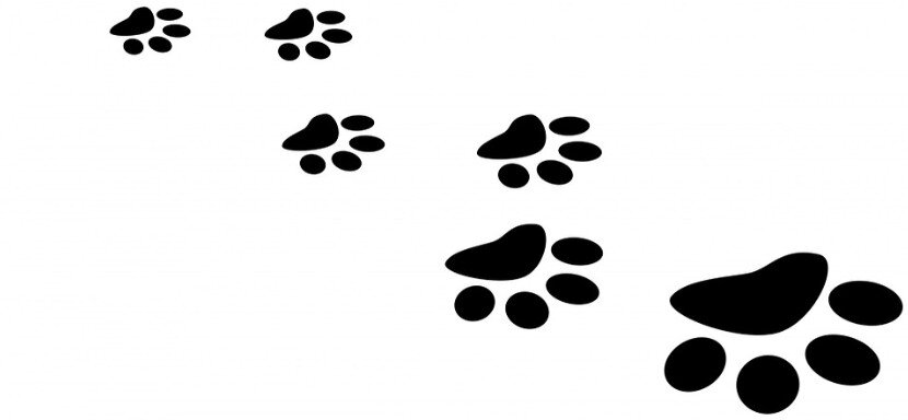 pixabay.com