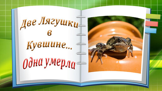 Притча лягушки в кувшине. Притча о двух лягушках. Две лягушки в кувшине. Притча о лягушке в кувшине. Притча о двух лягушках в кувшине.