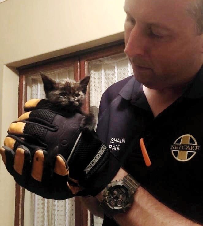 Шон Пол и спасенная им кошечка. Источник фото: https://koteiki.com/deti-pytalis-osvobodit-kotenka-iz-kanalizatsii-no-u-nih-ne-poluchalos/