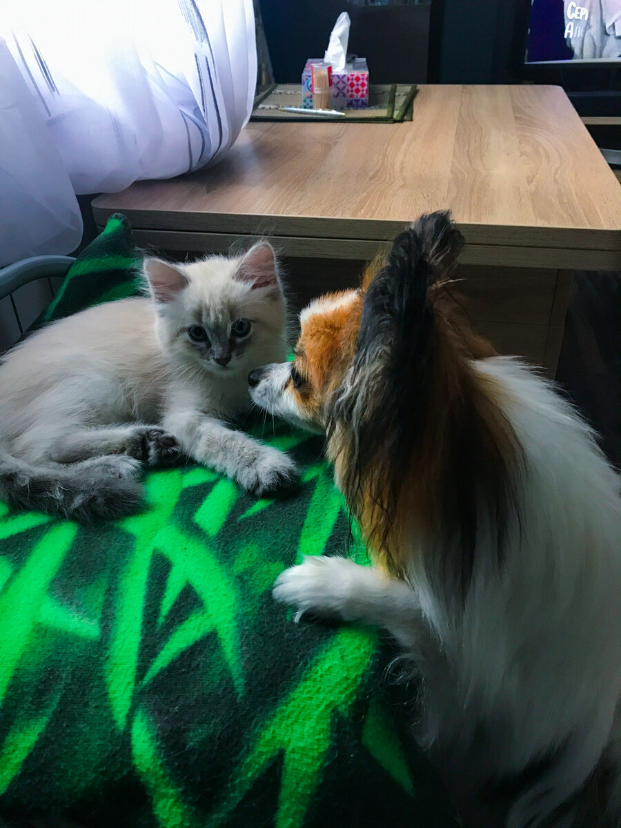 Чуть ли единственное совместное фото. Они всегда в движении, а потому поймать их вместе для фото - невозможно 