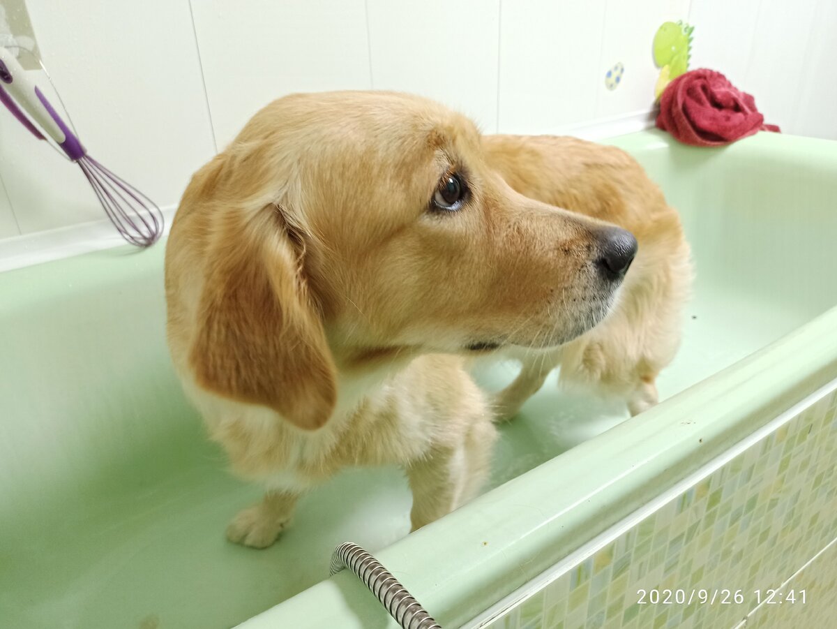 Ляля надеется что пронесёт...