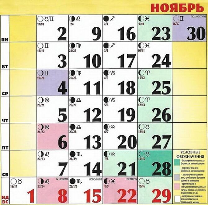 Календарь лунных фаз ноябрь Новолуние в ноябре 2020 года: что новая Луна нам готовит Joy-Pup - всё самое инт