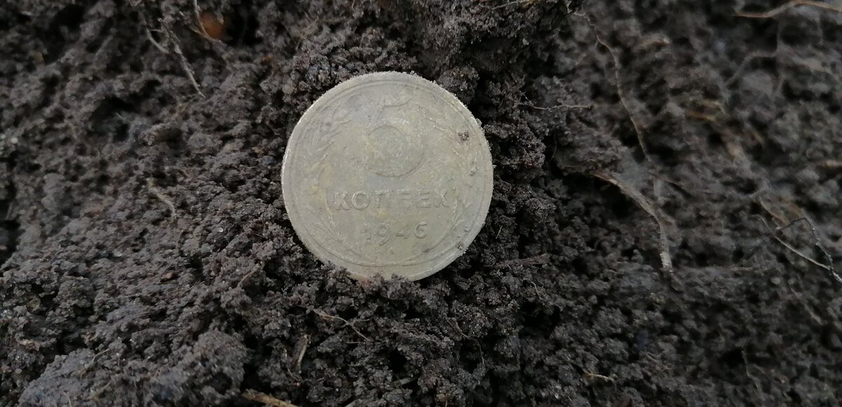 Один из самых распространённых годов в номинале 5 копеек. 