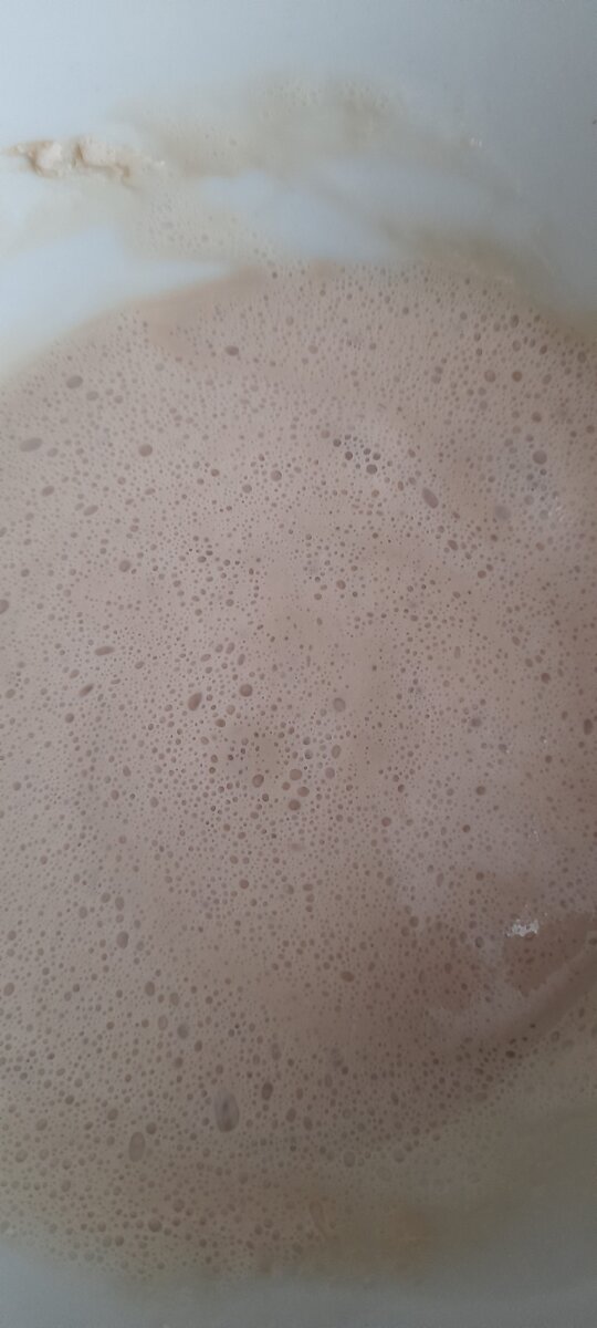 Дрожжи после 20 минут.