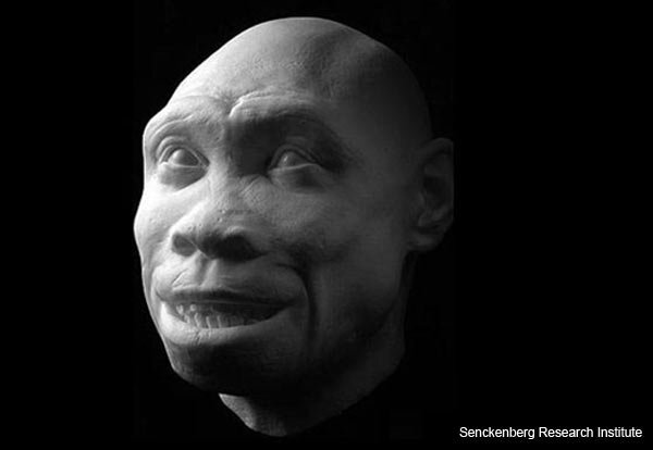 Homo ergaster