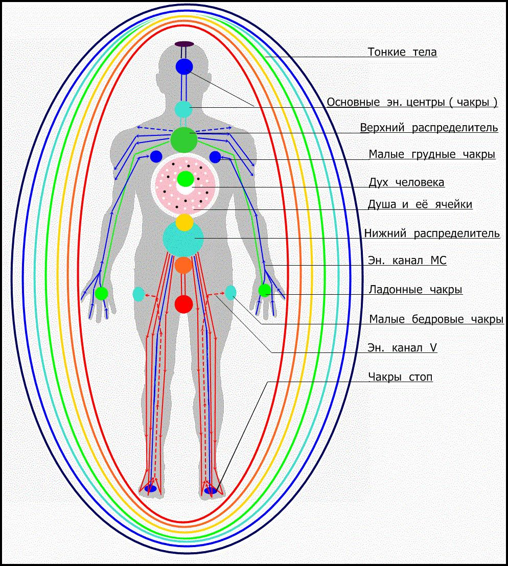 План души. Энергетические центры человека чакры и тонкие тела. Энергетические центры человека тонкие тела и физическое тело. Чакры на теле человека схема. Схема тонких тел человека.