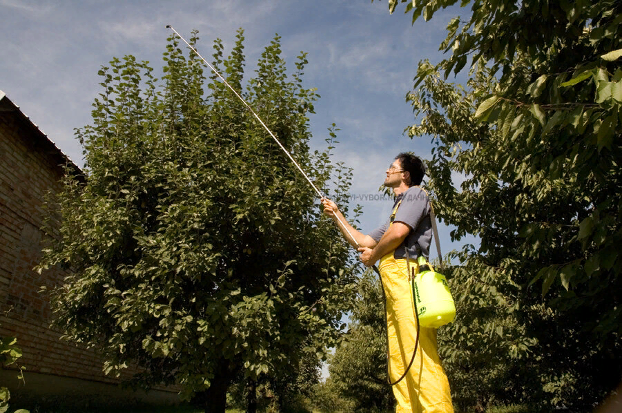 Телескопическая штанга (фото из интернета)