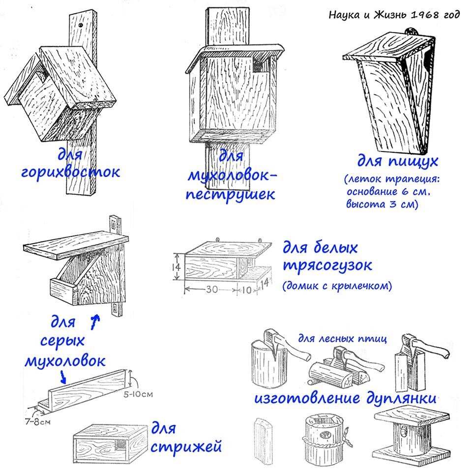 Скворечник своими руками: мастерим (чертежи, размеры) для разных птиц и вешаем
