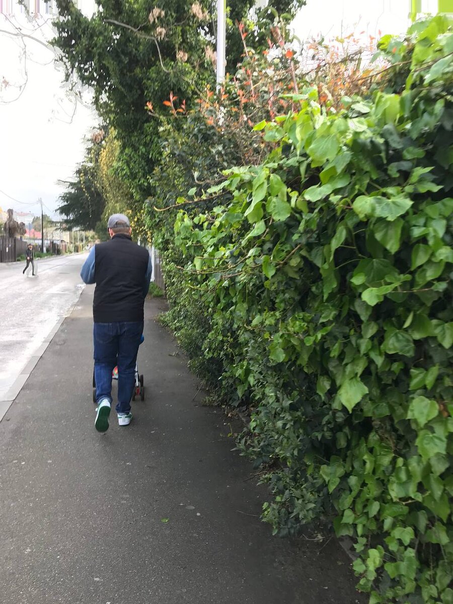 Идём на остановку мимо парка Южные Культуры 