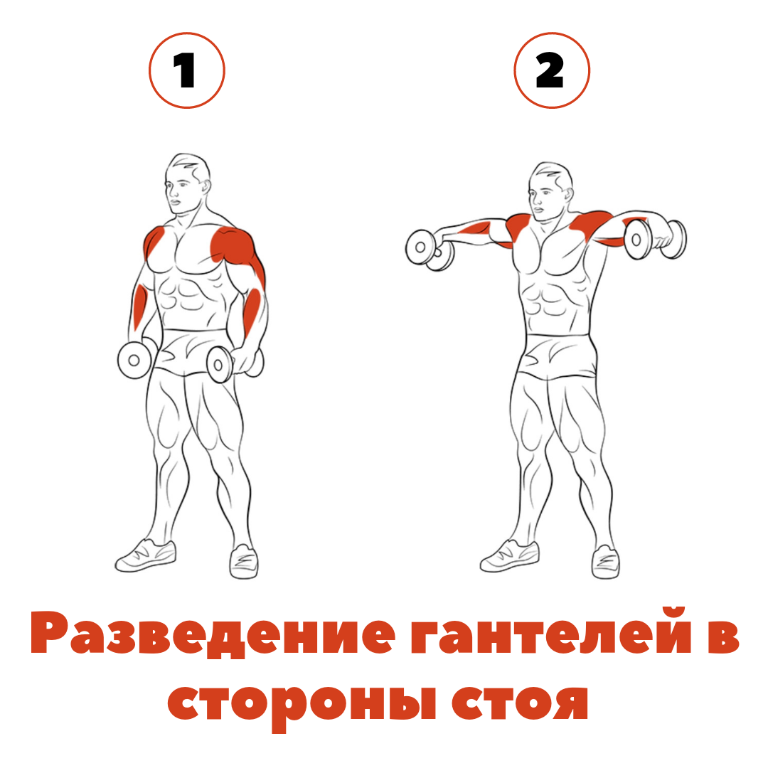 Мечта о объемных и сильных плечах? 5 упражнений которые помогут достигнуть  ее. | FITNESS PRO | Дзен