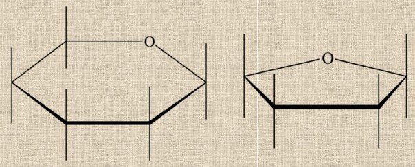 Слева - схема глюкозы. справа - фруктозы; атомы углерода - в узлах, кислород и водород - на палочках-связях. Схема из интернета: https://fsd.videouroki.net