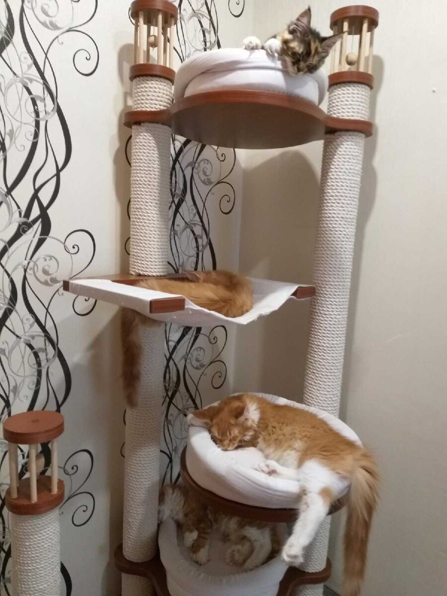 сладкий сон после шумных игр