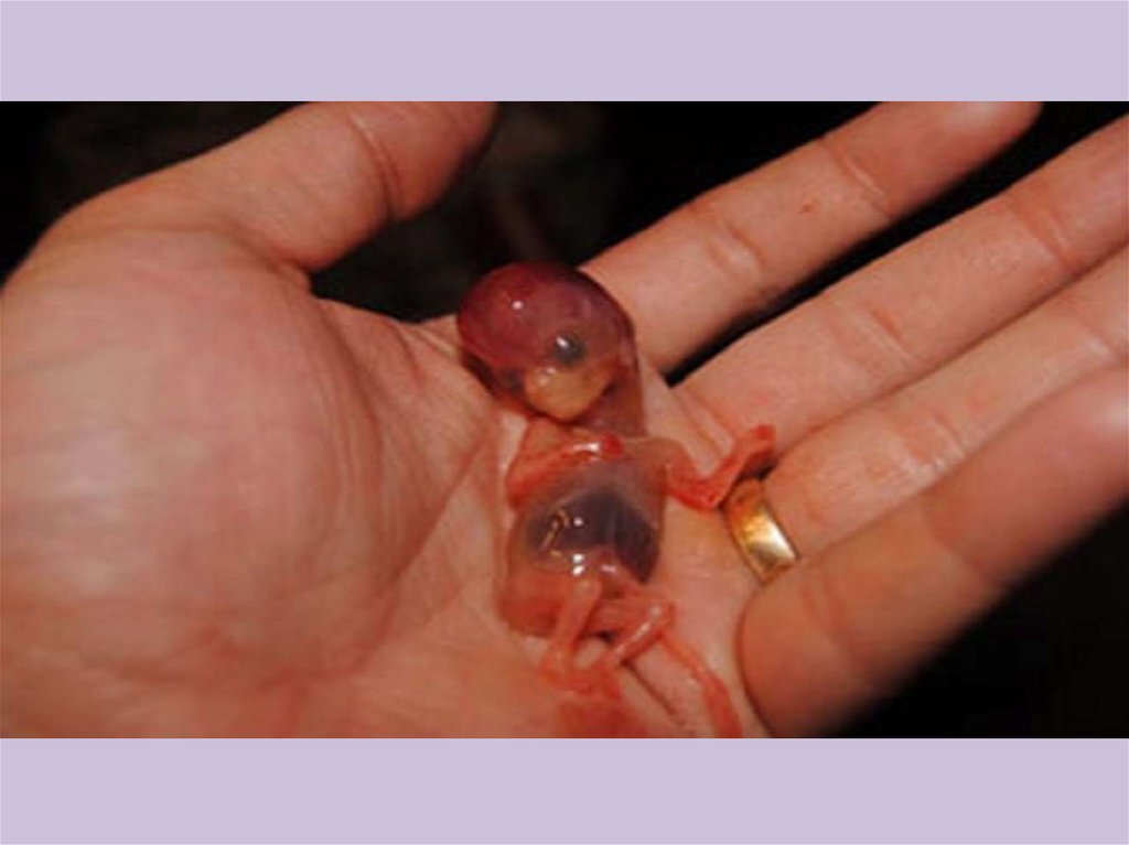 фото стырено в нете