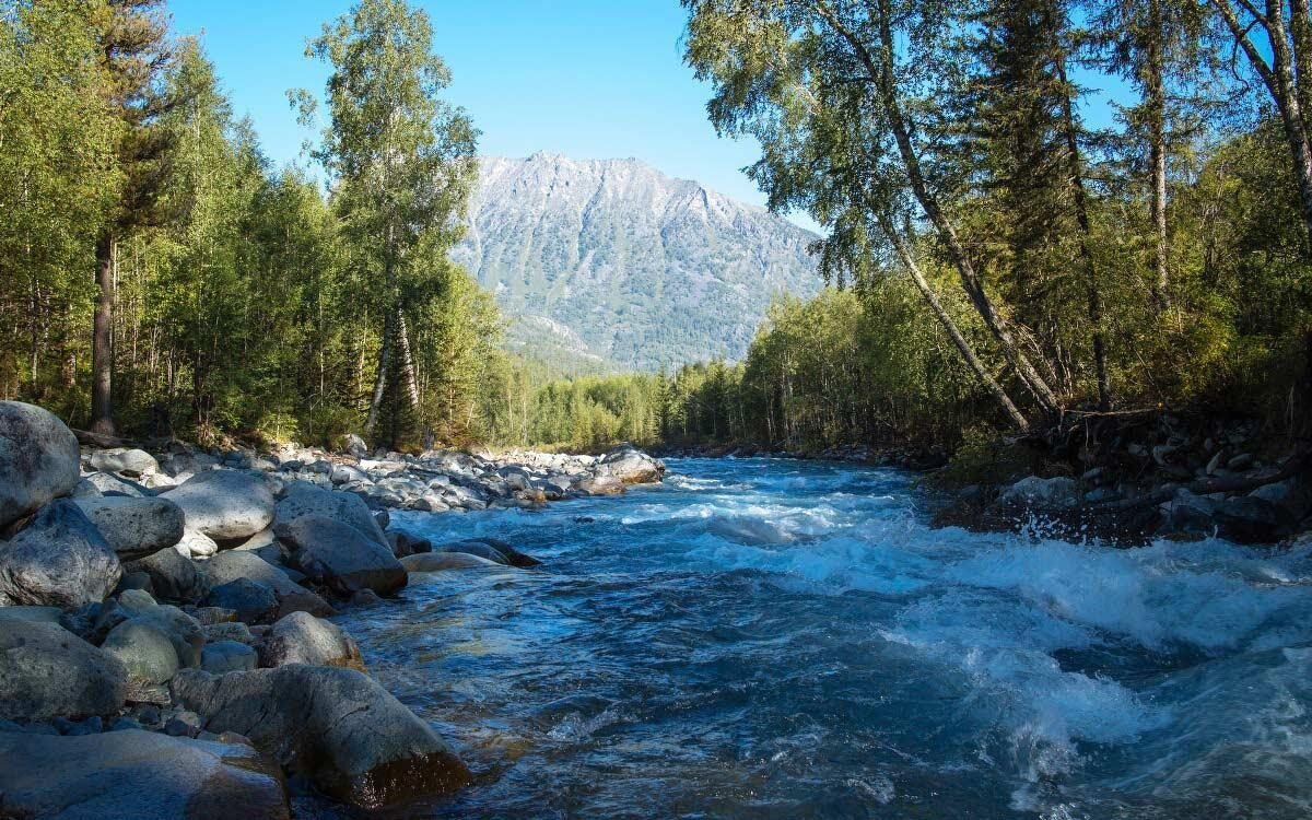 Катунский заповедник река Катунь