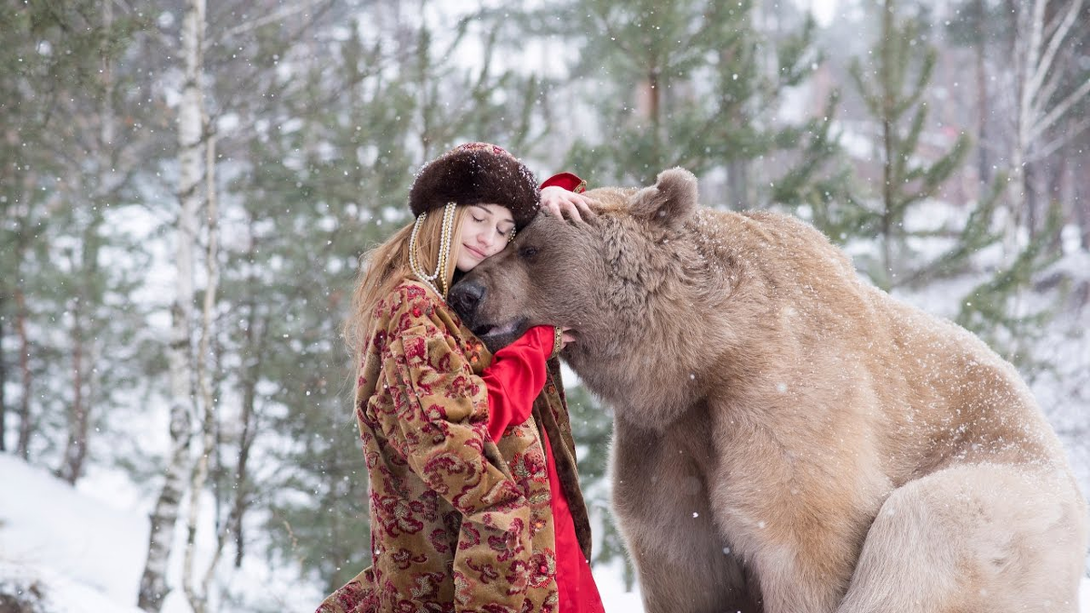 Медведь Степан. Русский медведь Степан. Фотосессия с медведем Степаном. Ручной медведь Степан.