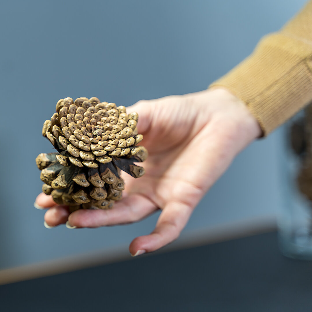 Фото: Егор Прилепо