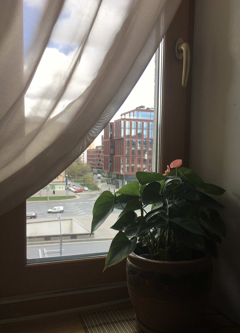 Фото автора канала