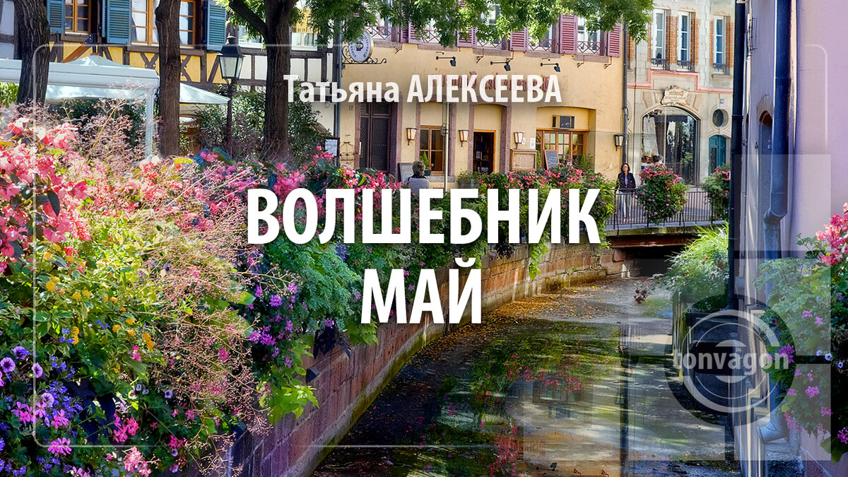 Стихотворение участвовало в конкурсе проекта ТОН-ВАГОН