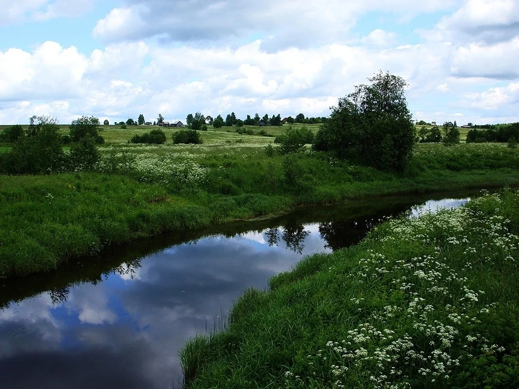 Фото из открытого источника Яндекс Картинки