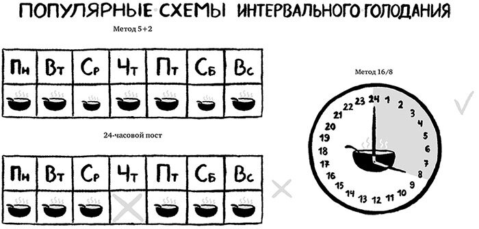 Фото из свободного источника