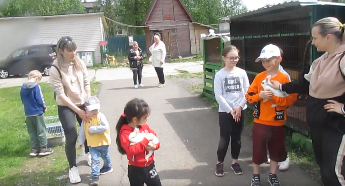 Дети, кролики, еноты.