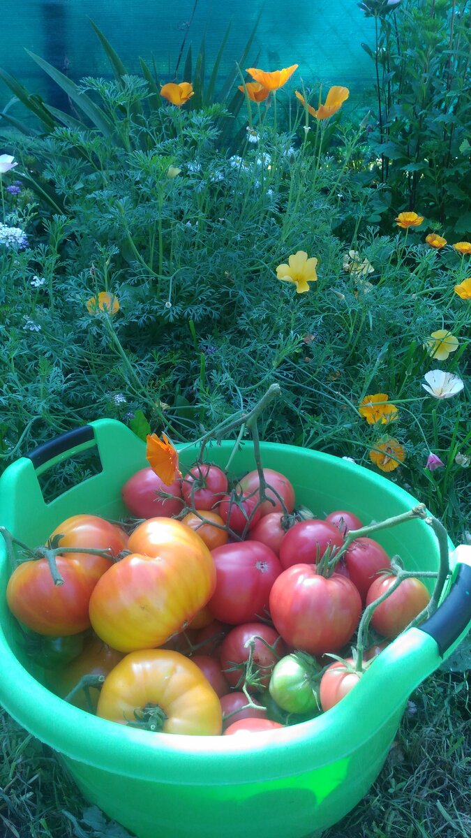 мои сладенькие:)