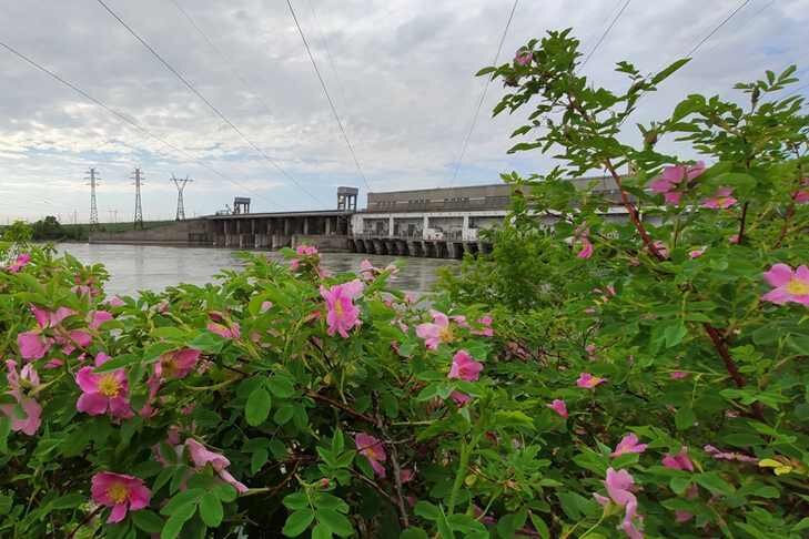    Фото предоставлено Новосибирской ГЭС
