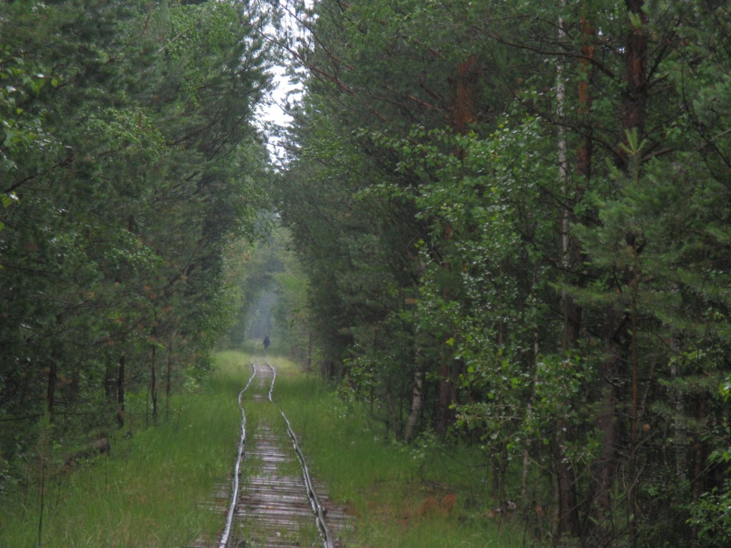 Фото из открытого источника ЯндексКартинки