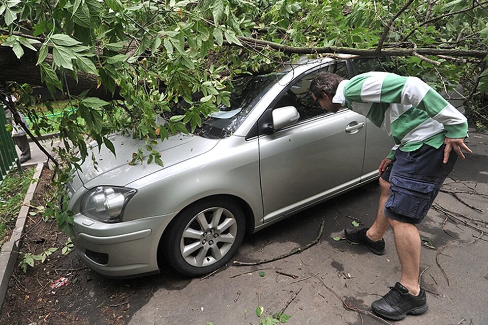 фото kp.ru\ Евгения Гусева. 