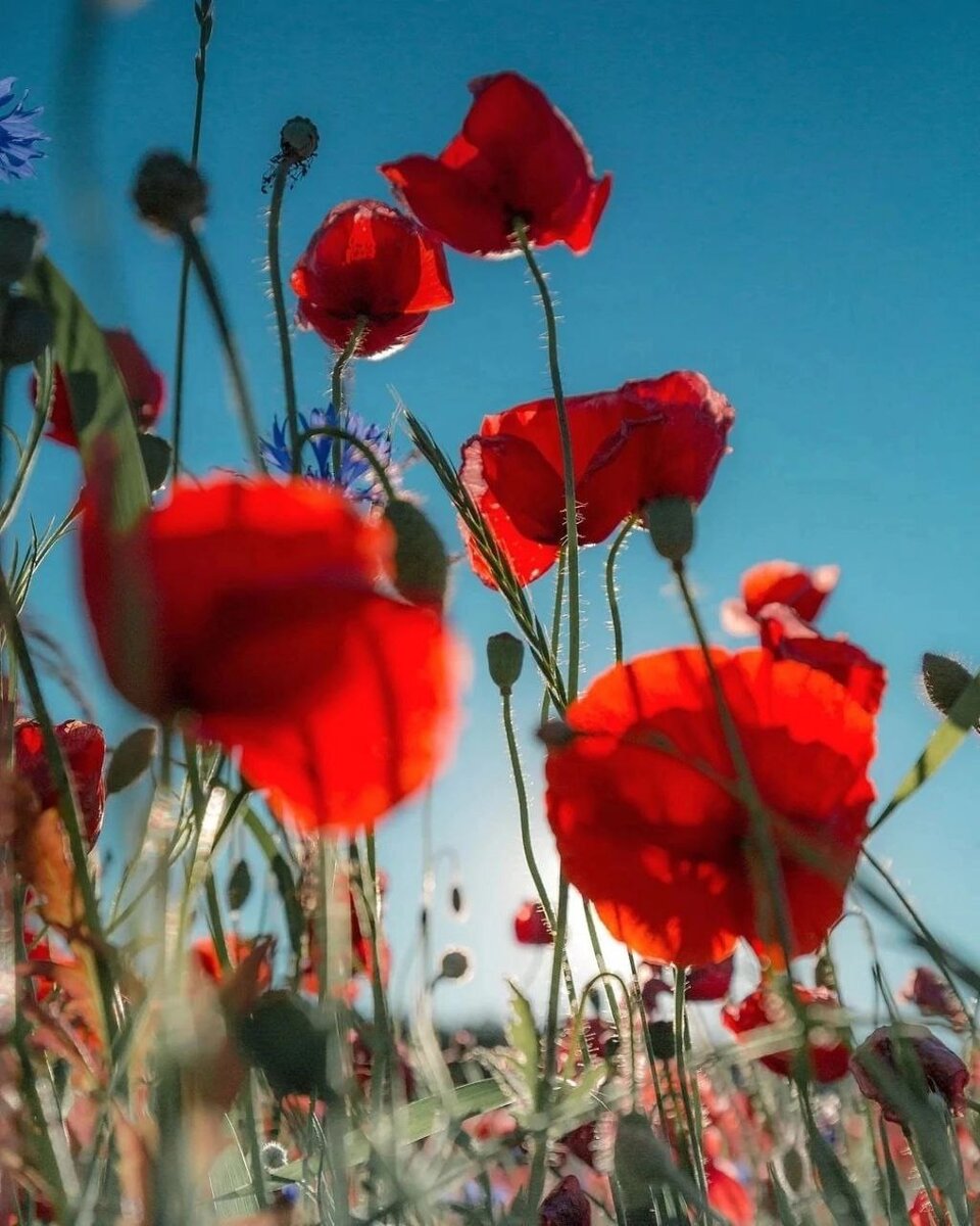 Из интернета