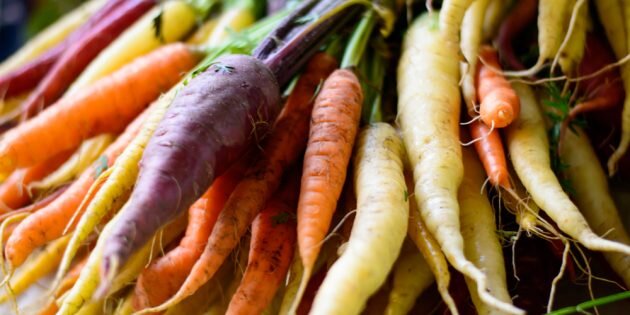 Фото: Milaspage / Shutterstock📷
