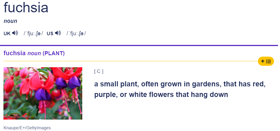 Скриншот-цитата https://dictionary.cambridge.org/dictionary/english/fuchsia 
