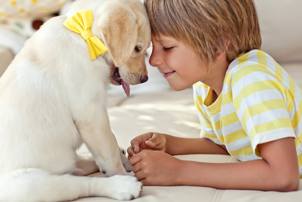 Фото: ShutterStock/Fotodom.ru