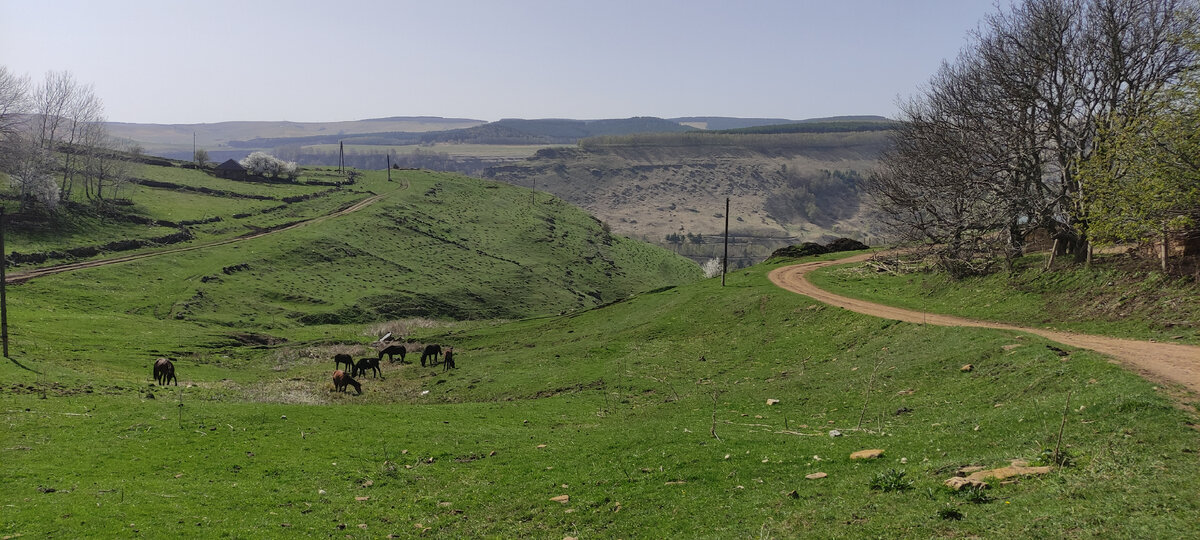 Село Элькуш (апрель 2022 года)