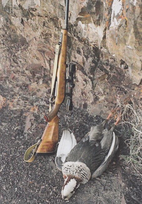 как приготовить утку