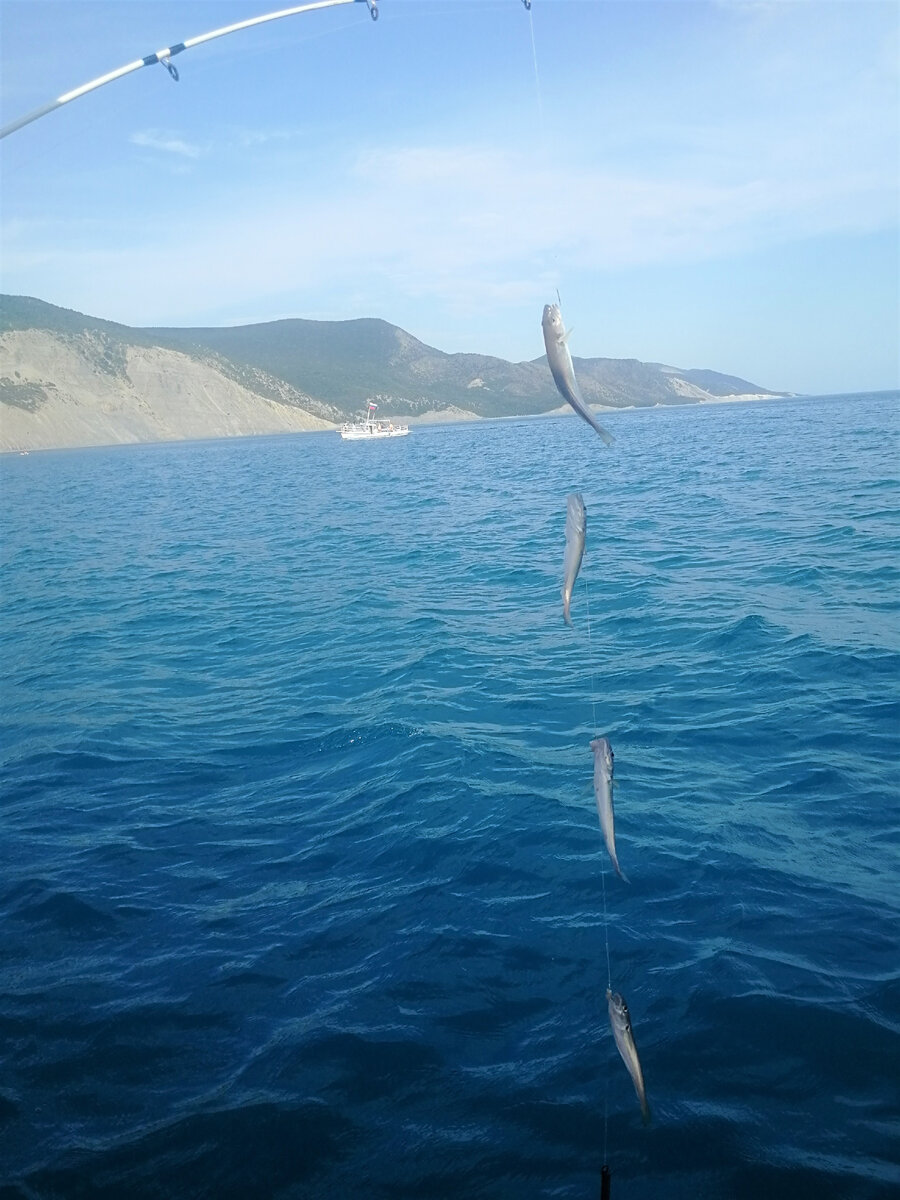 Рыбалка в открытом море
