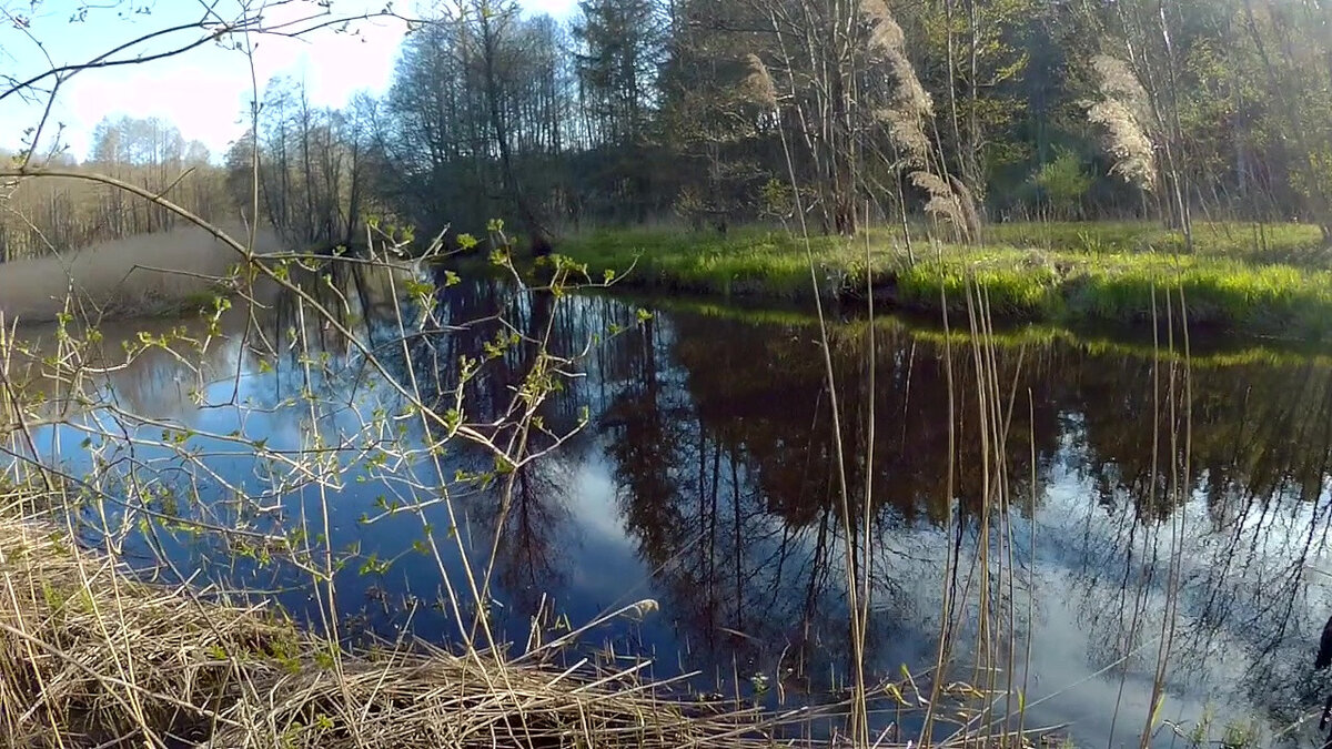 Вид со стоянки на реке Шоша