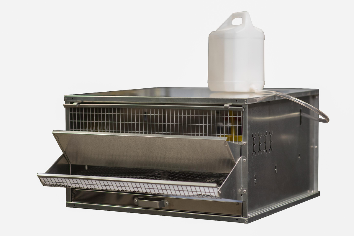 Клетка первого типа 