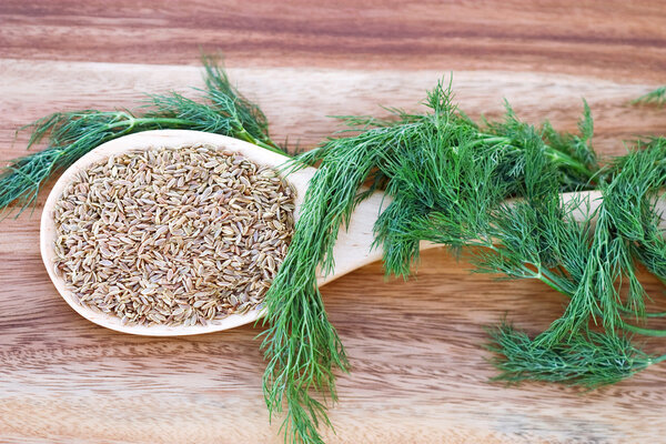 Семена укропа от паразитов