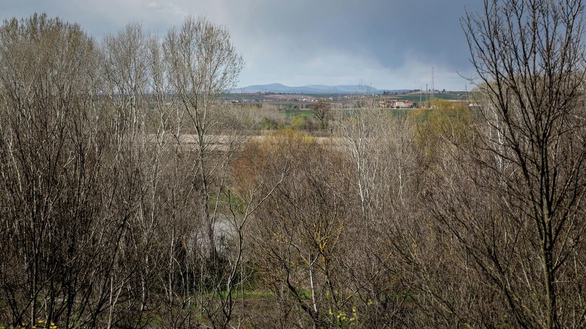    Вид на границу между Грецией и Турцией, пролегающую за железной дорогой вдоль реки Эврос© РИА Новости / Костис Нтантамис