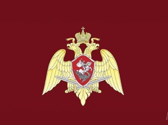     Официальный сайт Росгвардии