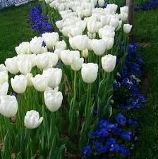 Фото из свободного доступа интеонета