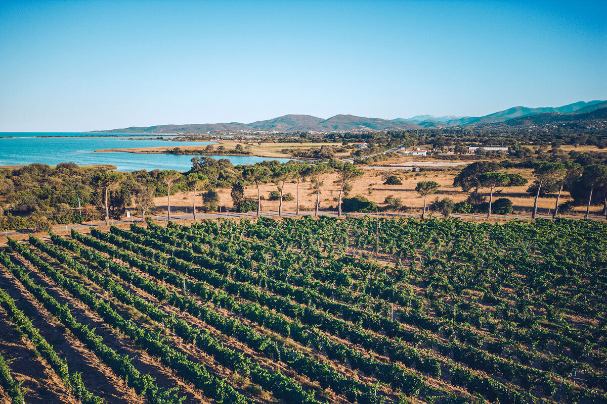     Знакомство с винодельнями Сардинии: авторский тур Baglioni Resort Sardinia